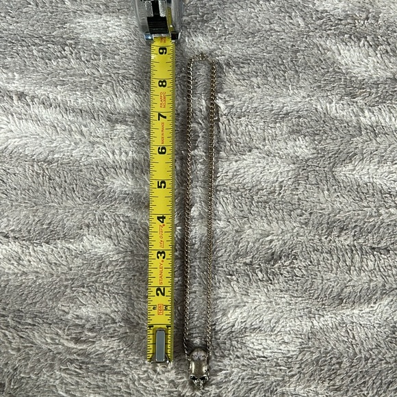 Silver colored 18 inch necklace with skull head - Picture 5 of 7